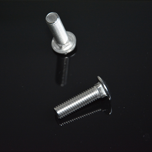 Boulons de carrosserie en acier inoxydable