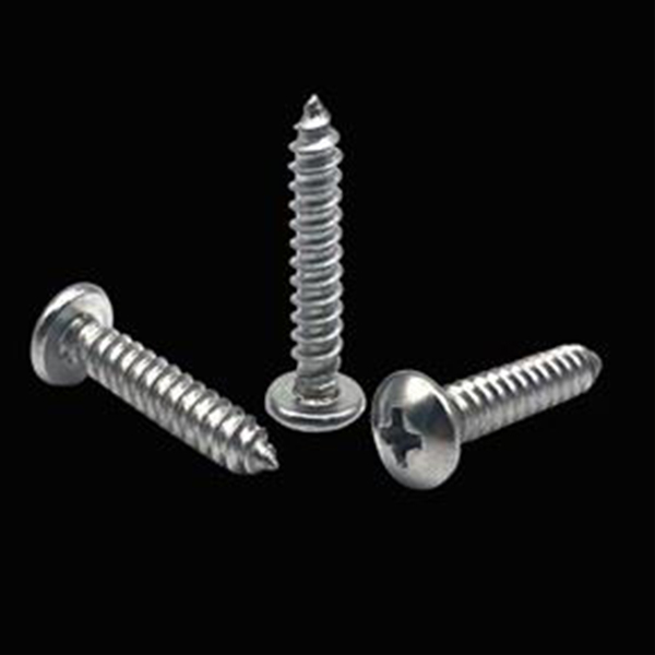 Vis autotaraudeuses à tête cylindrique croisée en acier inoxydable