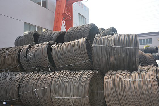 MATI&Egrave;RE PREMI&Egrave;RE